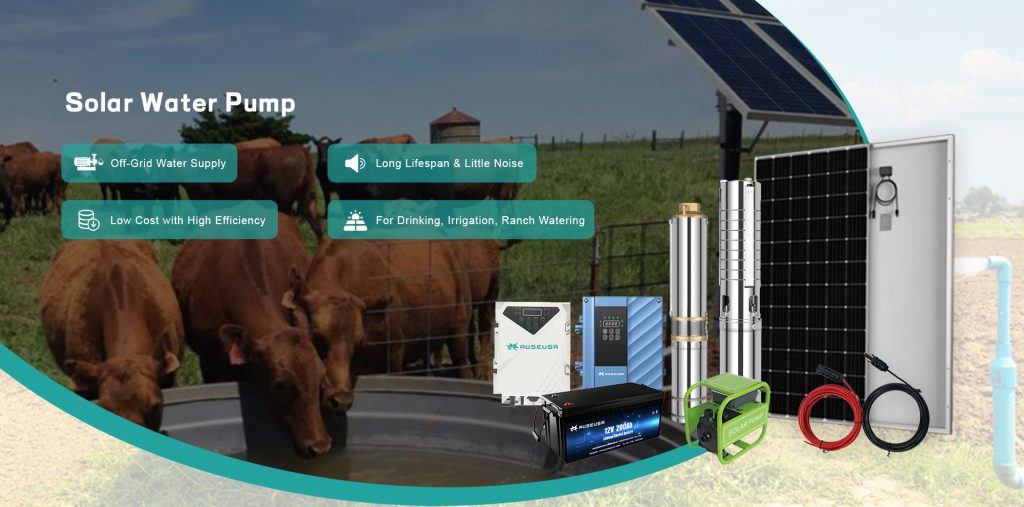 Harnessing Solar Power: The Essentials of Solar Water Pumps - AUSEUSA